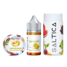 Saltica Honeydew Melon (Kavun) Salt Likit - VapeTR - Elektronik Sigara